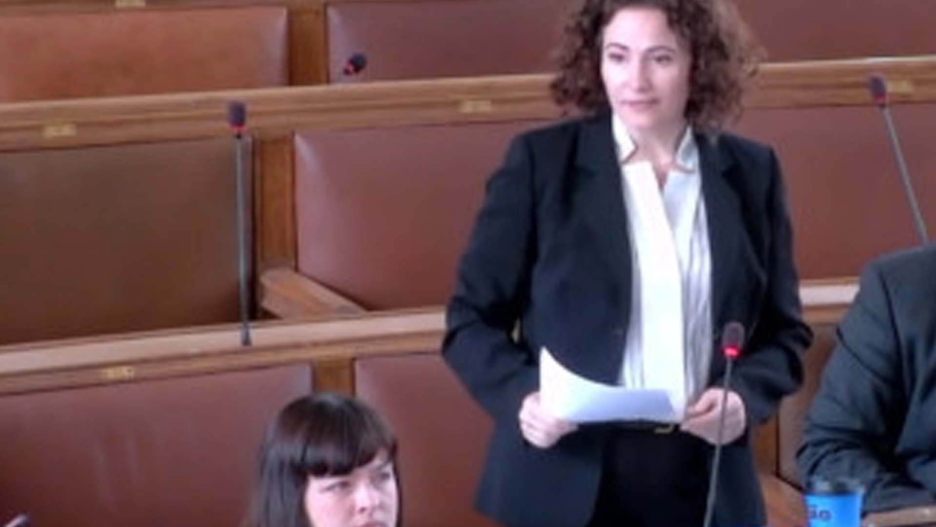 Whalley Range Labour - Councillor Angeliki Stogia Speaking at Manchester City Council